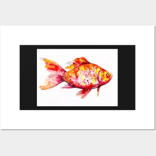 Goldfish Posters and Art